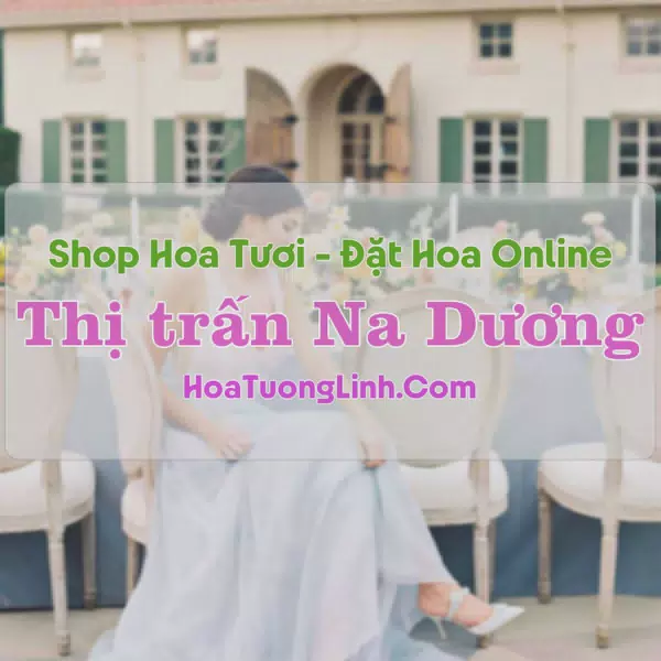 Shop Hoa Tươi Thị Trấn Na Dương - Lạng Sơn