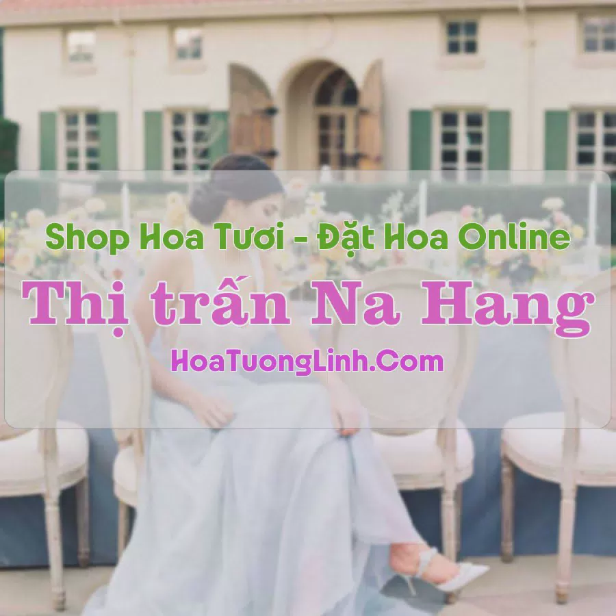 Shop Hoa Tươi Thị trấn Na Hang - Tuyên Quang