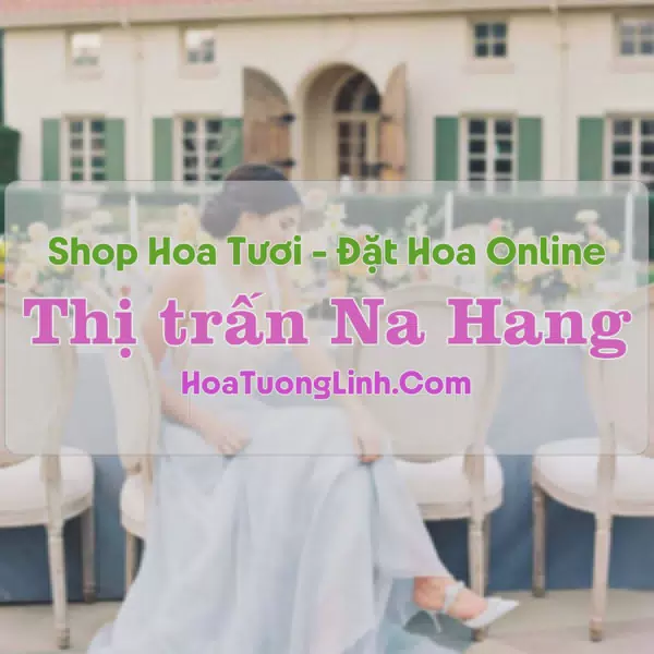 Shop Hoa Tươi Thị trấn Na Hang - Tuyên Quang
