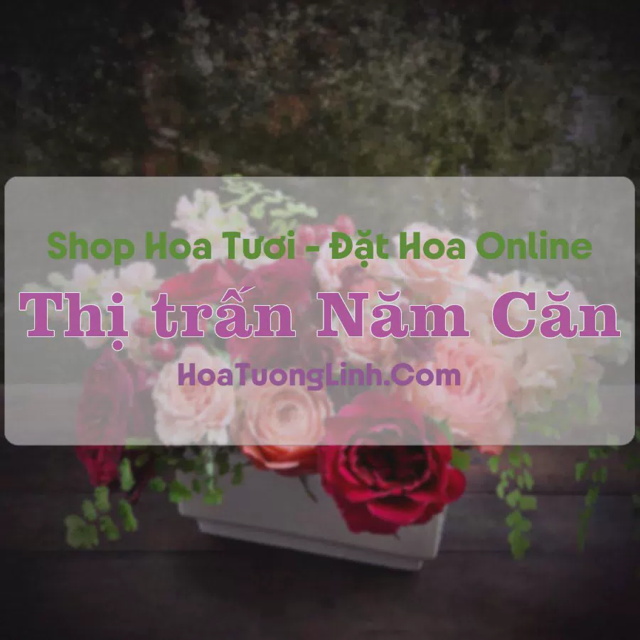 Shop Hoa Tươi Thị Trấn Năm Căn - Cà Mau