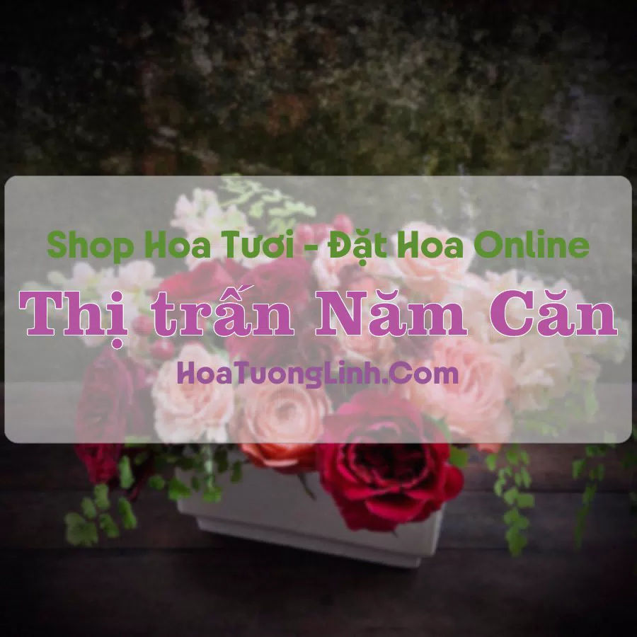 Shop Hoa Tươi Thị Trấn Năm Căn – Cà Mau