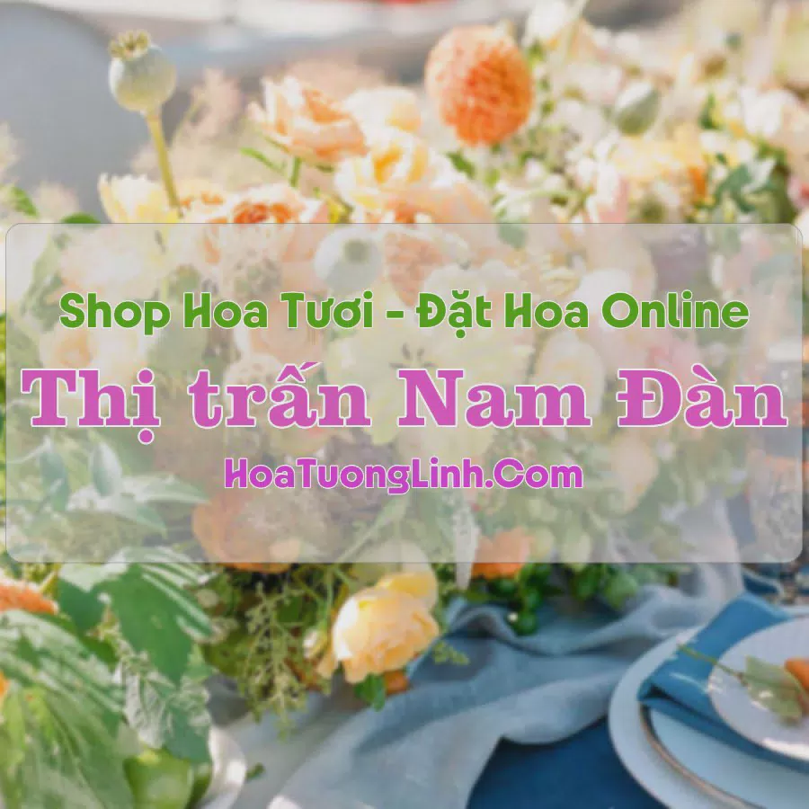 Shop Hoa Tươi TT Nam Đàn - Nghệ An