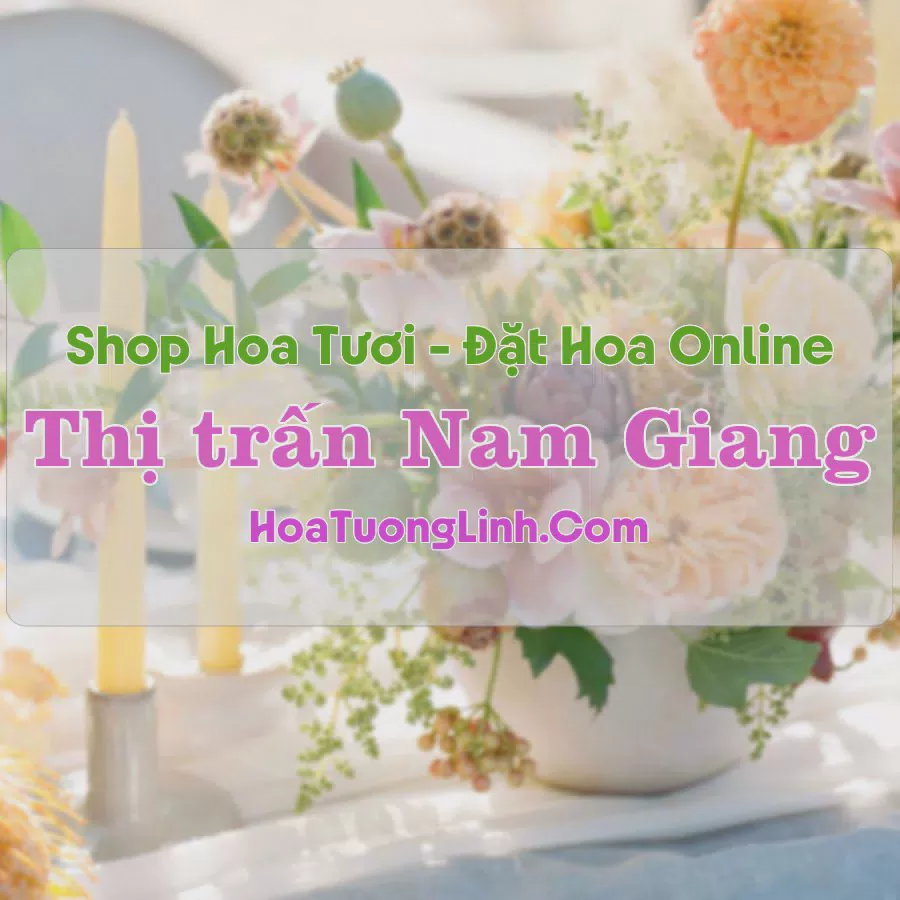 Shop Hoa Tươi Thị Trấn Nam Giang - Nam Định