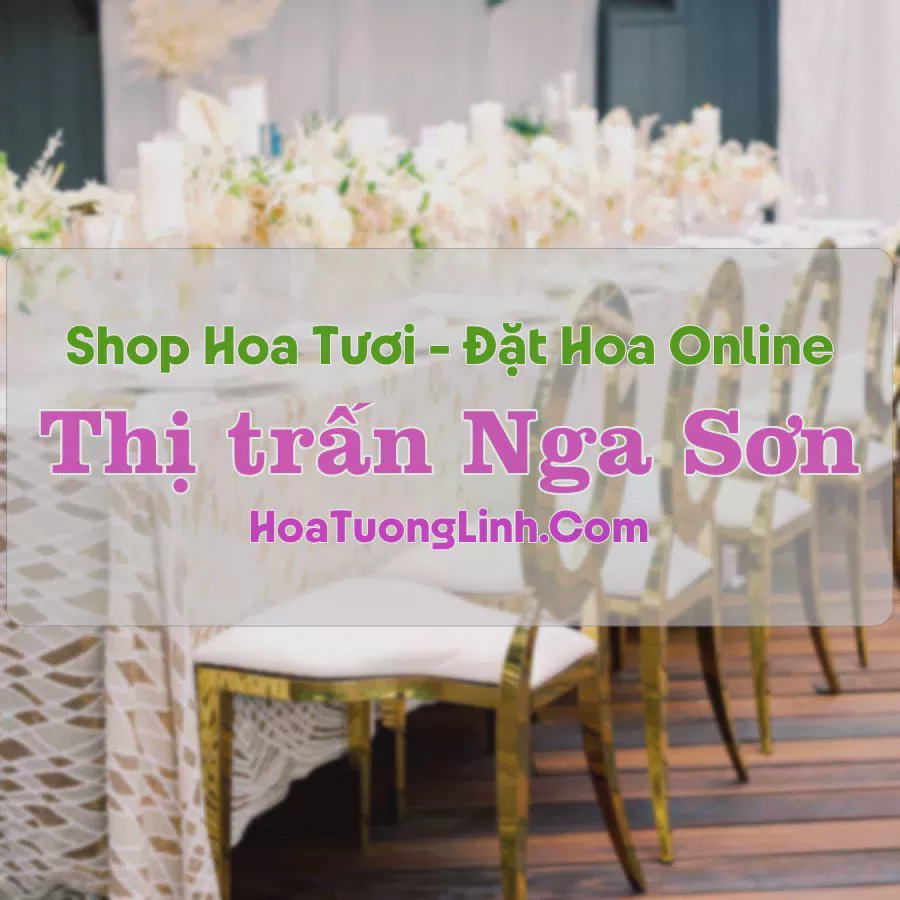 Shop Hoa Tươi Thị Trấn Nga Sơn - Thanh Hóa