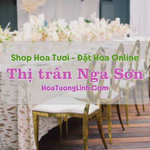 Shop Hoa Tươi Thị Trấn Nga Sơn - Thanh Hóa