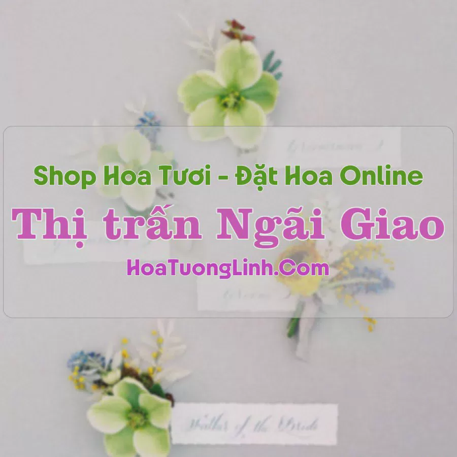 Shop Hoa Tươi Thị trấn Ngãi Giao - Bà Rịa - Vũng Tàu