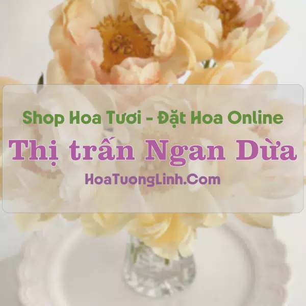 Shop Hoa Tươi Thị Trấn Ngan Dừa - Bạc Liêu