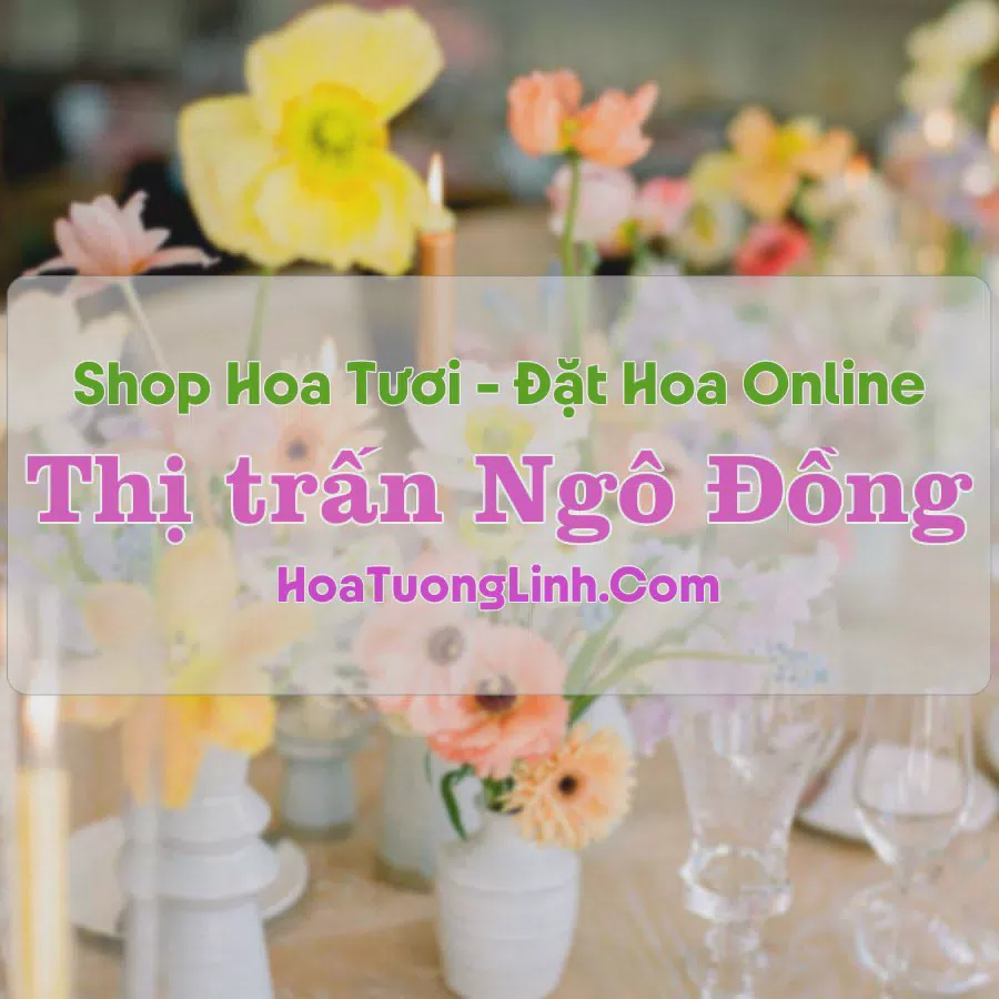 Shop Hoa Tươi Thị Trấn Ngô Đồng - Nam Định