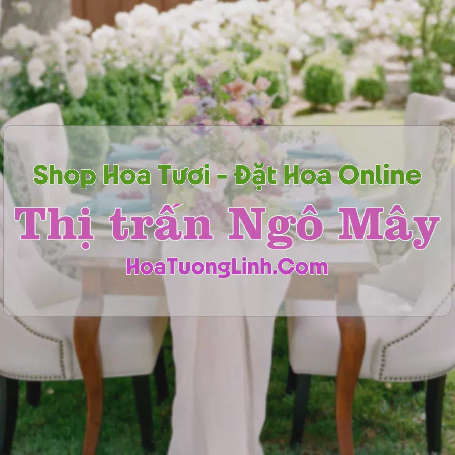 Shop Hoa Tươi Thị trấn Ngô Mây - Bình Định