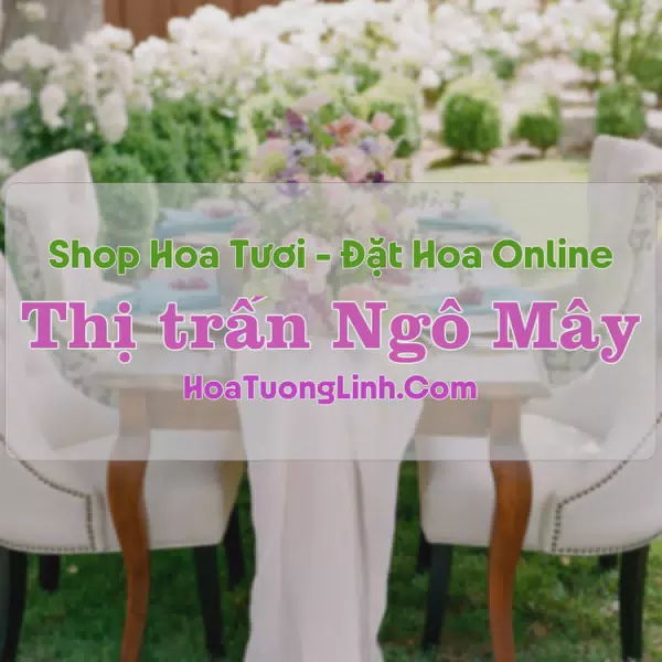 Shop Hoa Tươi Thị trấn Ngô Mây - Bình Định