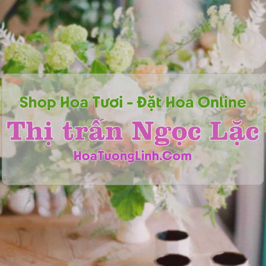 Shop Hoa Tươi Thị Trấn Ngọc Lặc - Thanh Hóa