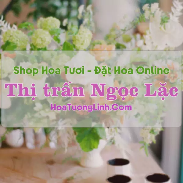 Shop Hoa Tươi Thị Trấn Ngọc Lặc - Thanh Hóa