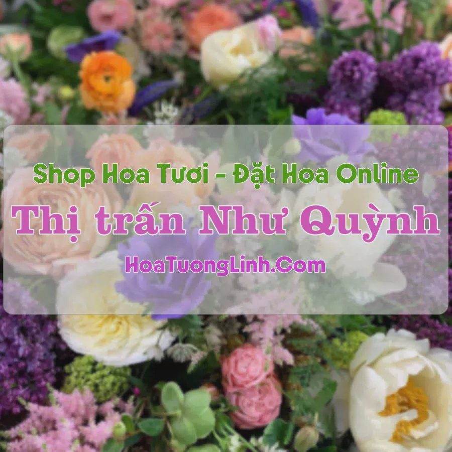 Shop Hoa Tươi Thị Trấn Như Quỳnh - Hưng Yên