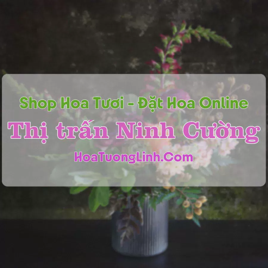 Shop Hoa Tươi Thị Trấn Ninh Cường - Nam Định