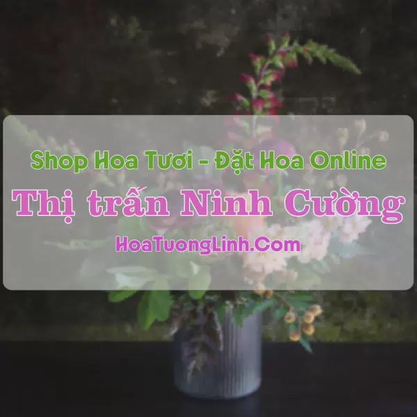 Shop Hoa Tươi Thị Trấn Ninh Cường - Nam Định