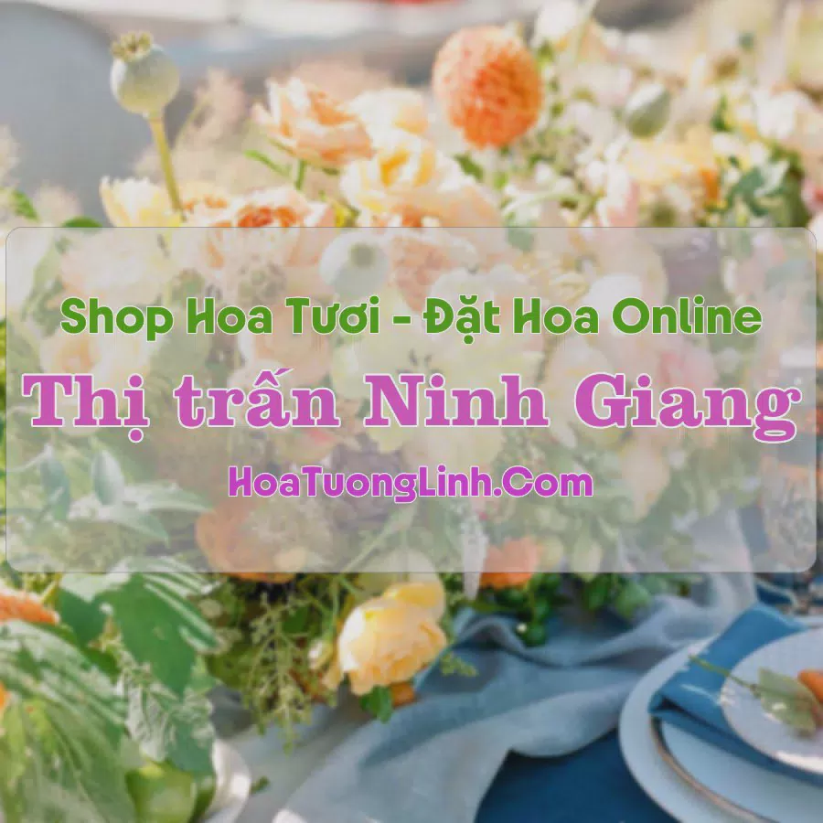 Shop Hoa Tươi Thị Trấn Ninh Giang - Hải Dương