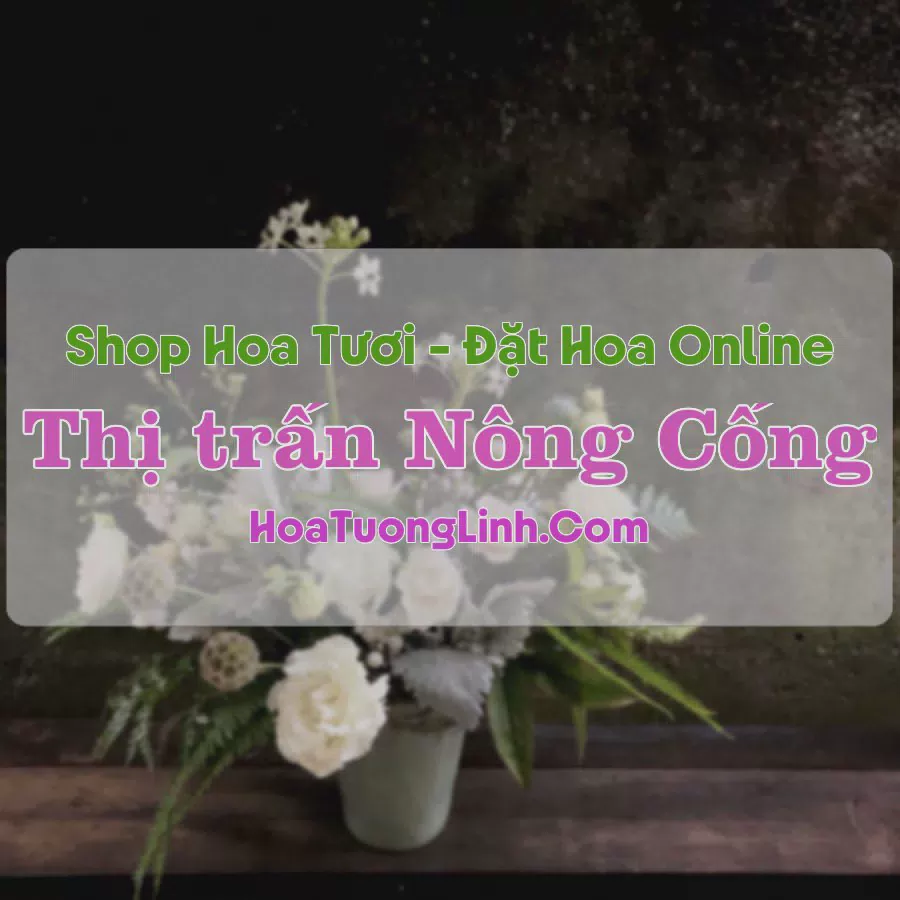 Shop Hoa Tươi Thị trấn Nông Cống - Thanh Hóa