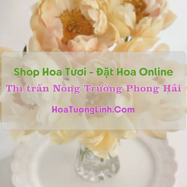 Shop Hoa Tươi Thị Trấn Nông Trường Phong Hải - Bảo Thắng, Lào Cai