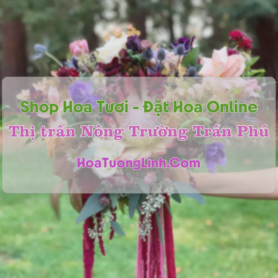 Shop Hoa Tươi Thị Trấn Nông Trường Trần Phú - Yên Bái