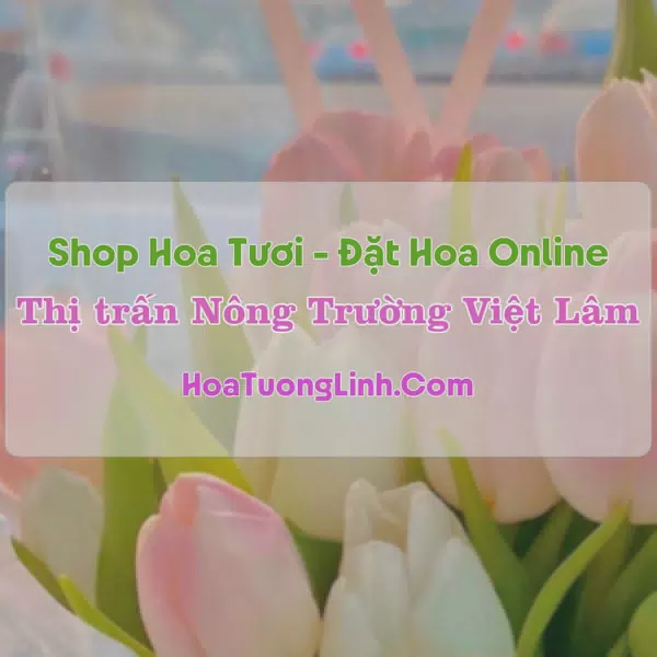 Shop Hoa Tươi Thị Trấn Nông Trường Việt Lâm - Vị Xuyên, Hà Giang