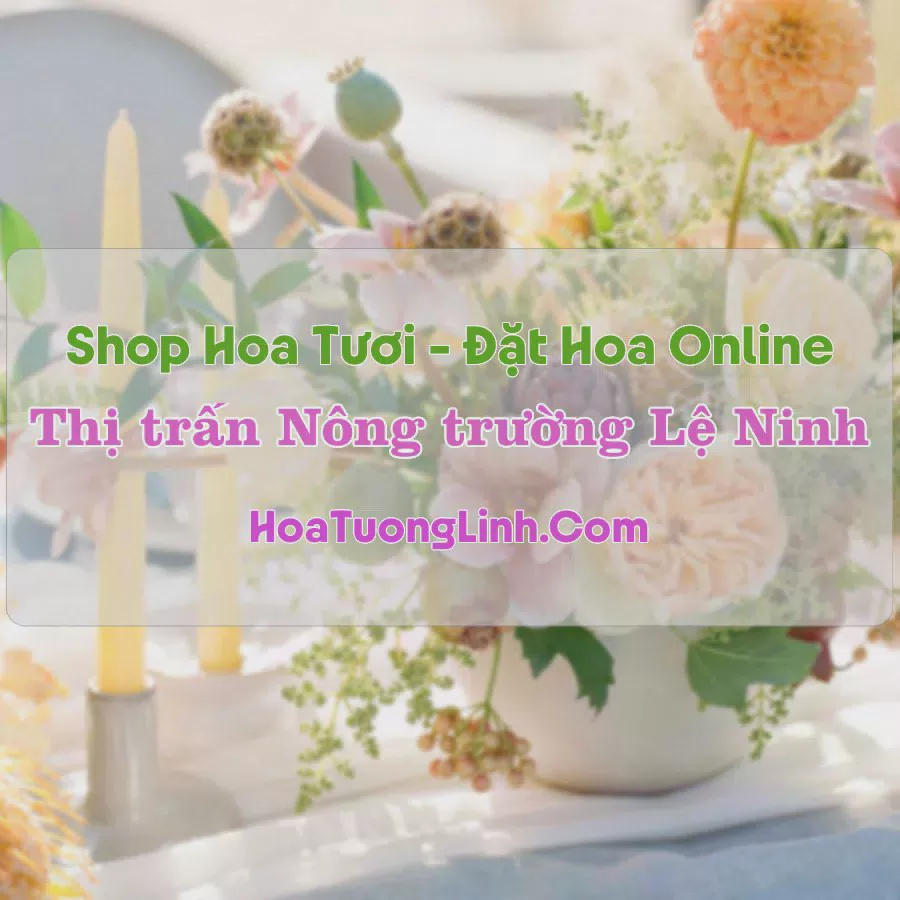 Shop Hoa Tươi Thị Trấn Nông Trường Lệ Ninh - Quảng Bình