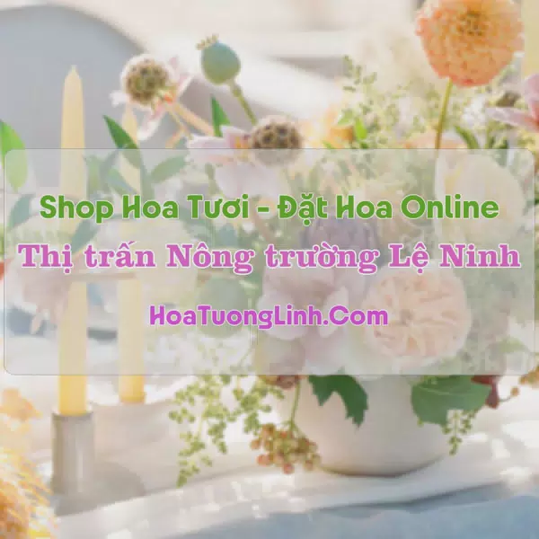 Shop Hoa Tươi Thị Trấn Nông Trường Lệ Ninh - Quảng Bình