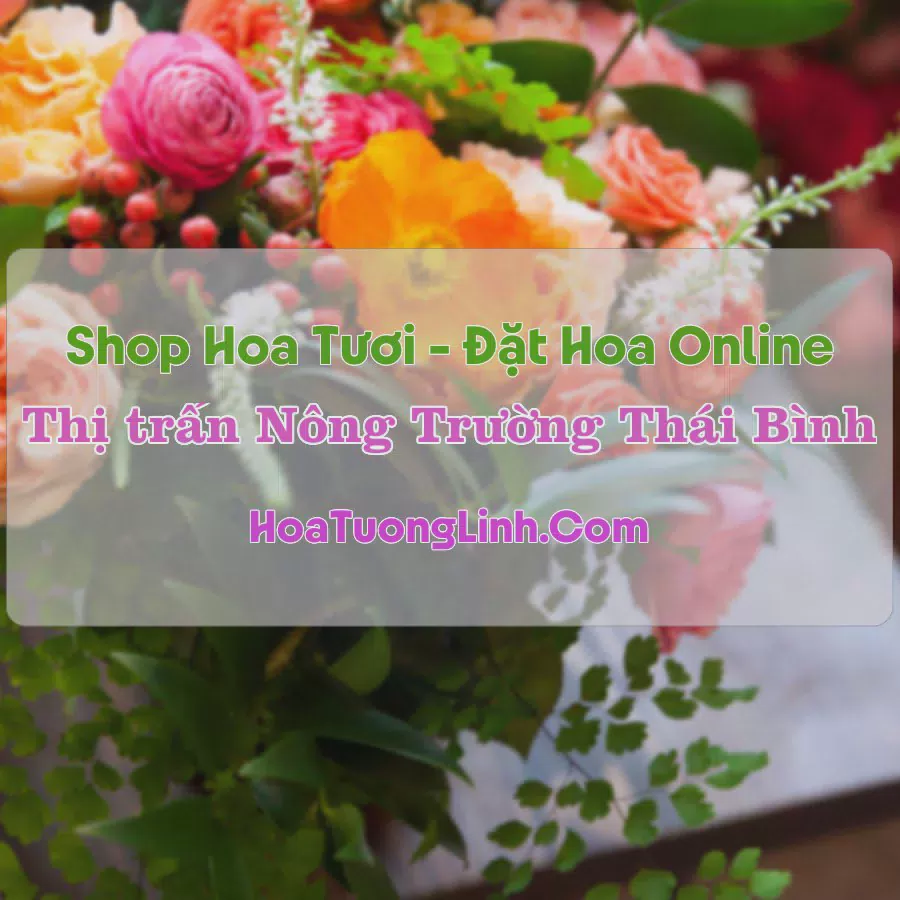 Shop Hoa Tươi NT Thái Bình - Lạng Sơn