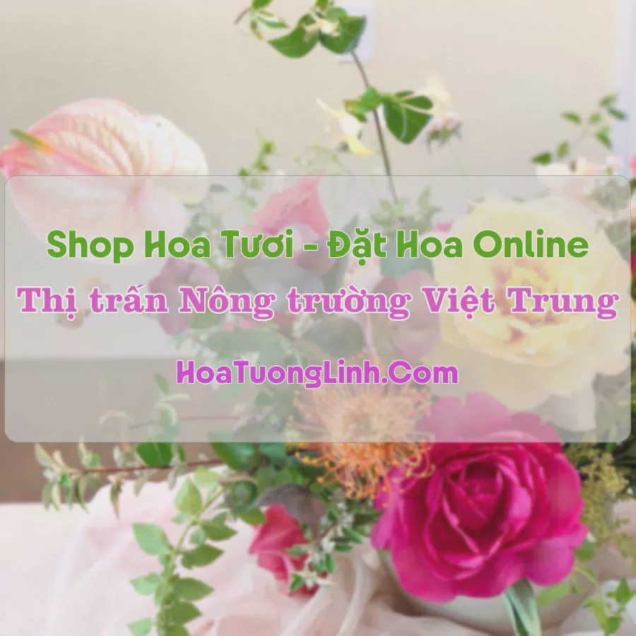 Shop Hoa Tươi Thị trấn Nông trường Việt Trung - Quảng Bình