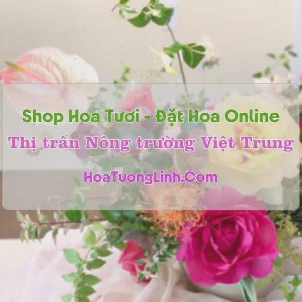 Shop Hoa Tươi Thị trấn Nông trường Việt Trung - Quảng Bình
