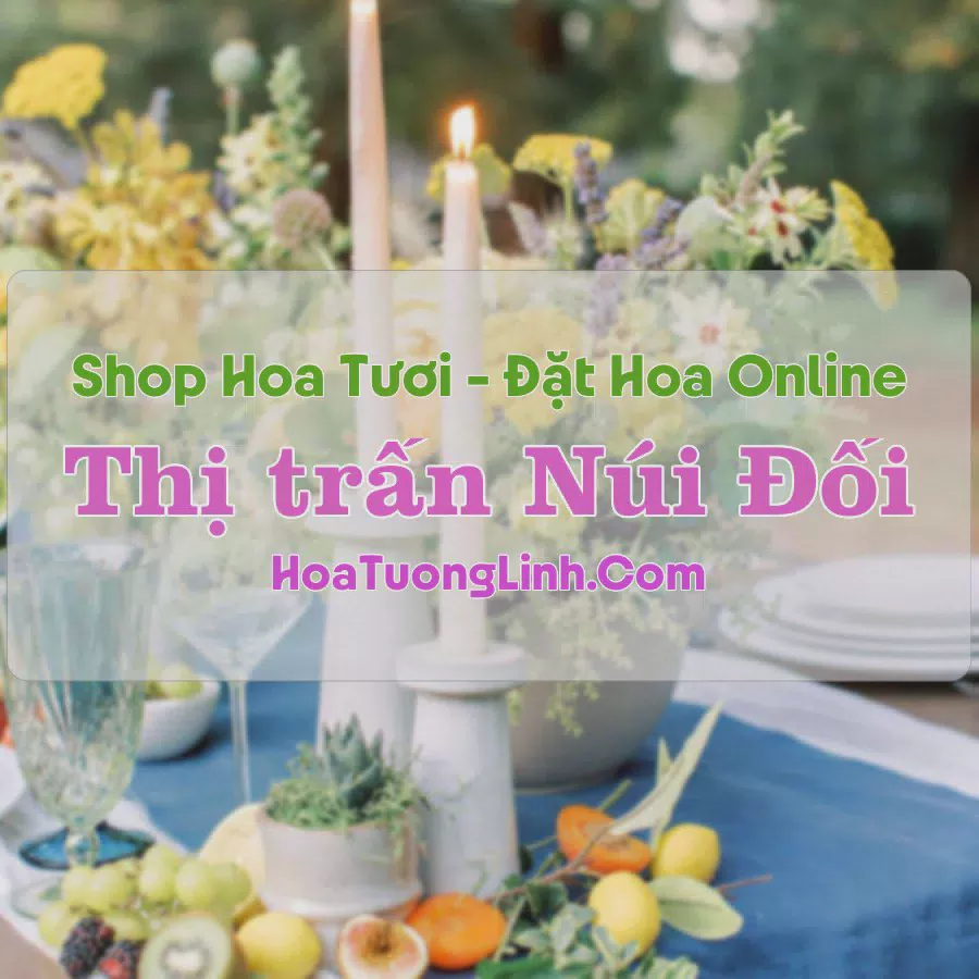 Shop Hoa Tươi Thị Trấn Núi Đối - Hải Phòng