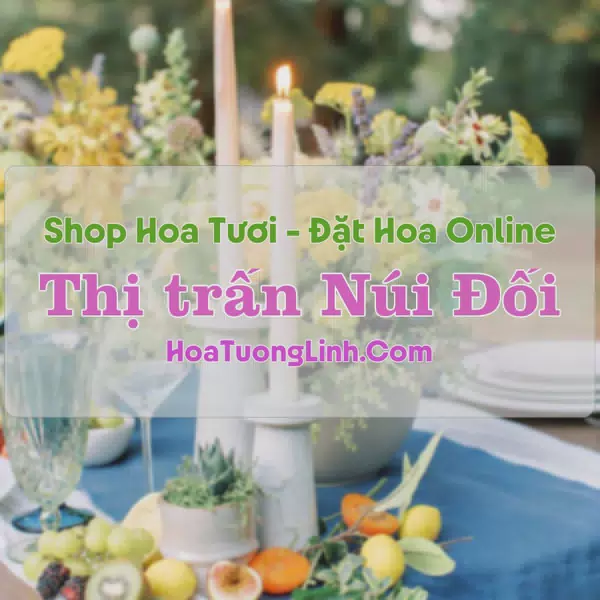 Shop Hoa Tươi Thị Trấn Núi Đối - Hải Phòng