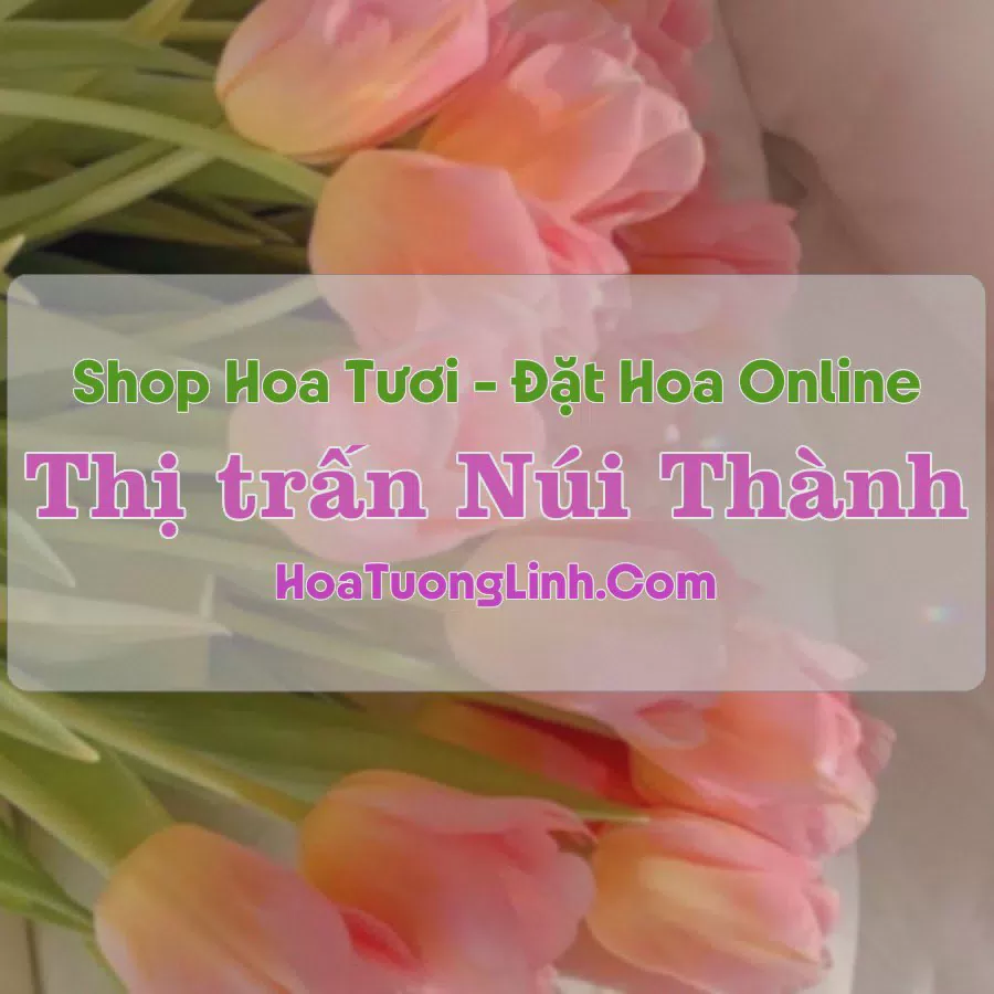 Shop Hoa Tươi Thị trấn Núi Thành - Quảng Nam