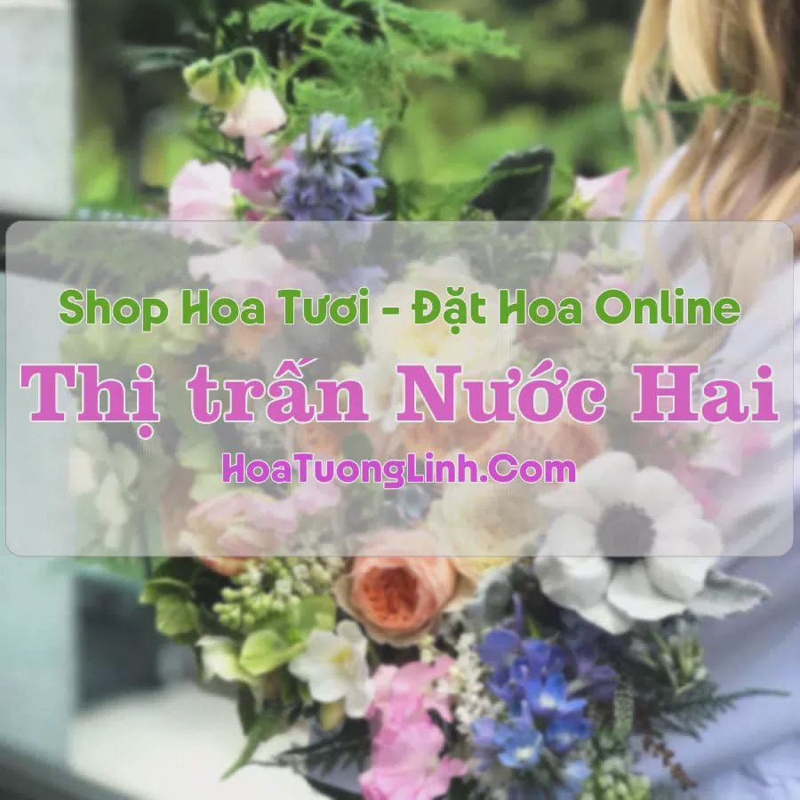 Shop Hoa Tươi Thị trấn Nước Hai - Cao Bằng