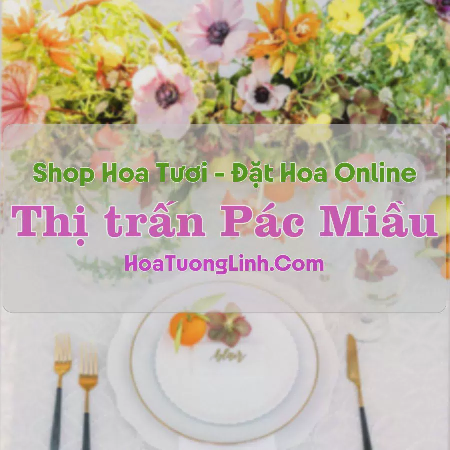 Shop Hoa Tươi Thị Trấn Pác Miầu - Cao Bằng