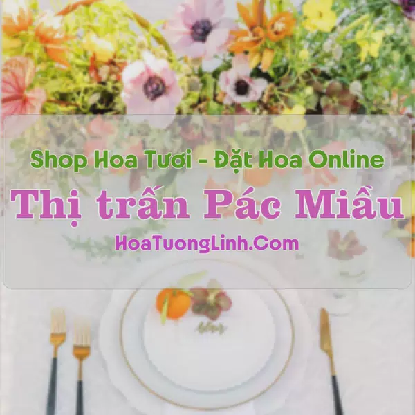 Shop Hoa Tươi Thị Trấn Pác Miầu - Cao Bằng