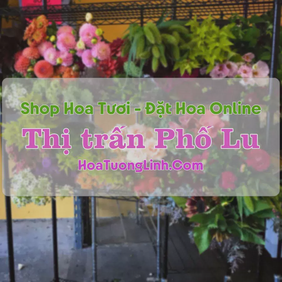 Shop Hoa Tươi Thị Trấn Phố Lu - Bảo Thắng, Lào Cai