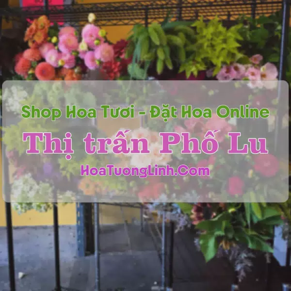 Shop Hoa Tươi Thị Trấn Phố Lu - Bảo Thắng, Lào Cai