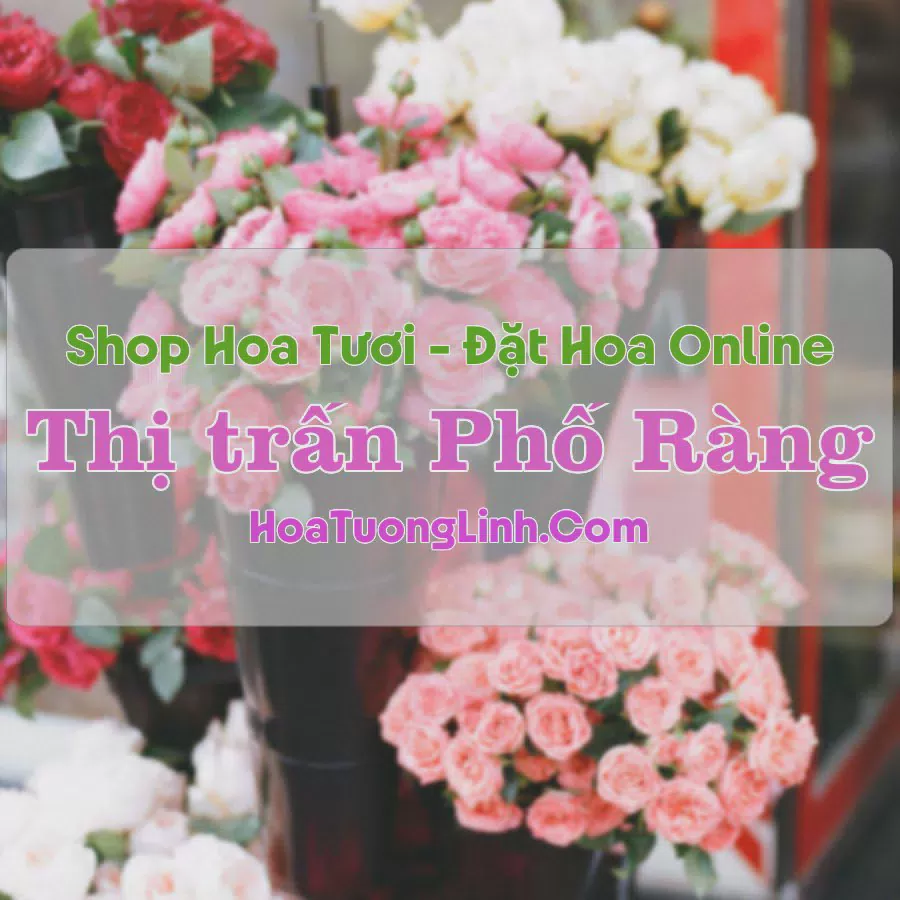 Shop Hoa Tươi Thị Trấn Phố Ràng - Bảo Yên, Lào Cai