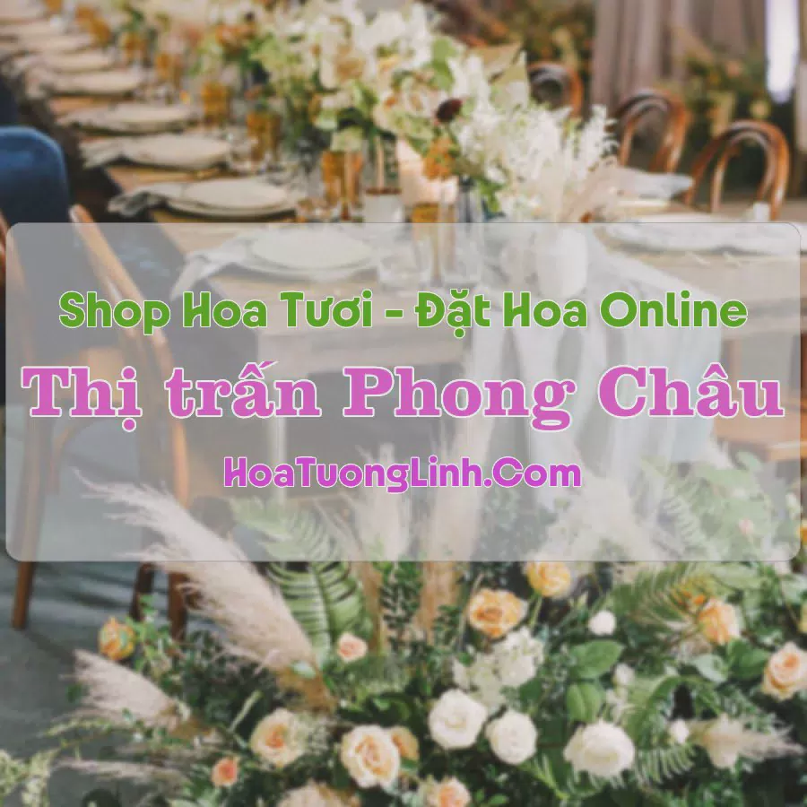 Shop Hoa Tươi Thị Trấn Phong Châu - Phú Thọ