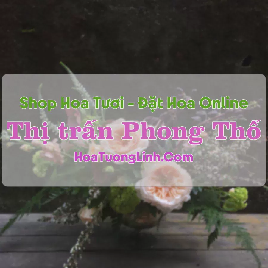 Shop Hoa Tươi Thị trấn Phong Thổ - Lai Châu
