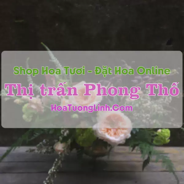 Shop Hoa Tươi Thị trấn Phong Thổ - Lai Châu