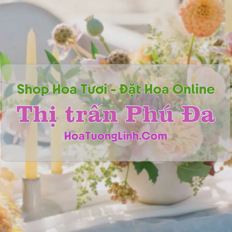 Shop Hoa Tươi Thị trấn Phú Đa - Huế