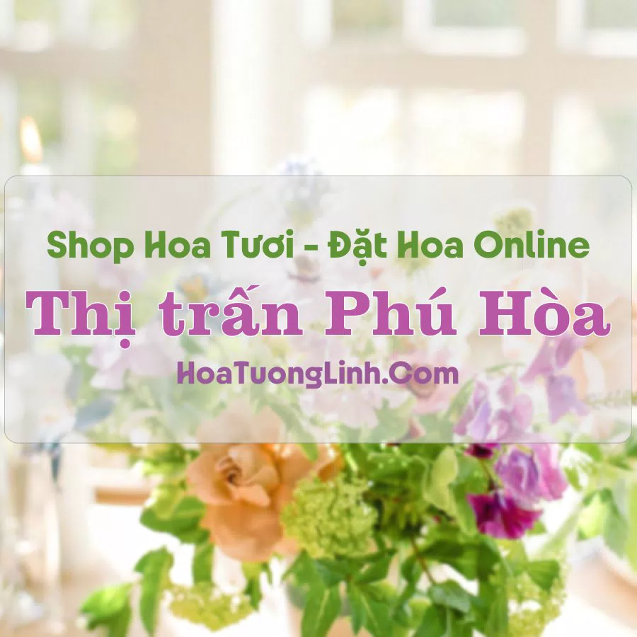 Shop Hoa Tươi Thị Trấn Phú Hòa – An Giang