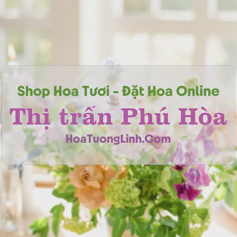 Shop Hoa Tươi Thị Trấn Phú Hòa - An Giang