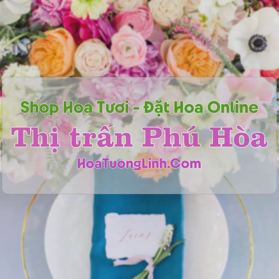 Shop Hoa Tươi Thị Trấn Phú Hòa - Gia Lai