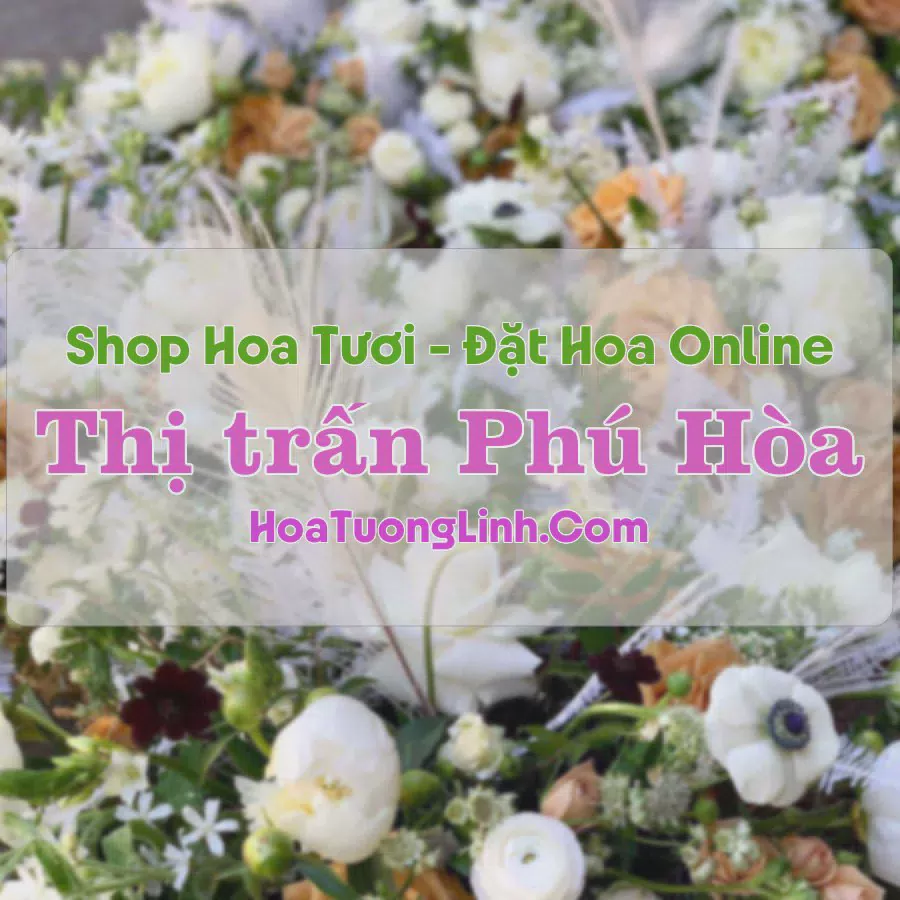 Shop Hoa Tươi Thị trấn Phú Hòa - Phú Yên