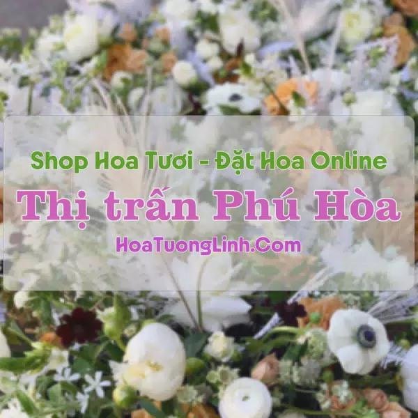Shop Hoa Tươi Thị trấn Phú Hòa - Phú Yên