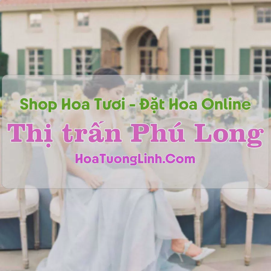 Shop Hoa Tươi Thị trấn Phú Long - Bình Thuận