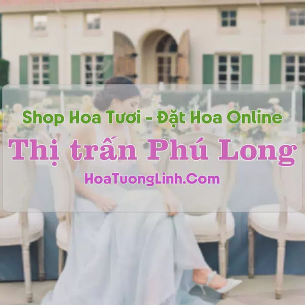 Shop Hoa Tươi Thị trấn Phú Long - Bình Thuận