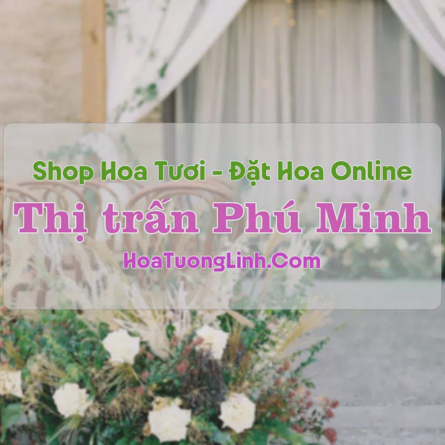 Shop Hoa Tươi Thị trấn Phú Minh - Hà Nội